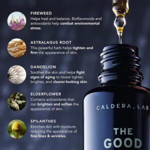 Caldera + Lab The Good Multi-Functional Evening Serum – Clean, Plant-Based Skincare